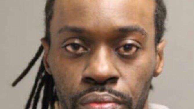 Man threw dog to its death from train platform, Chicago police say