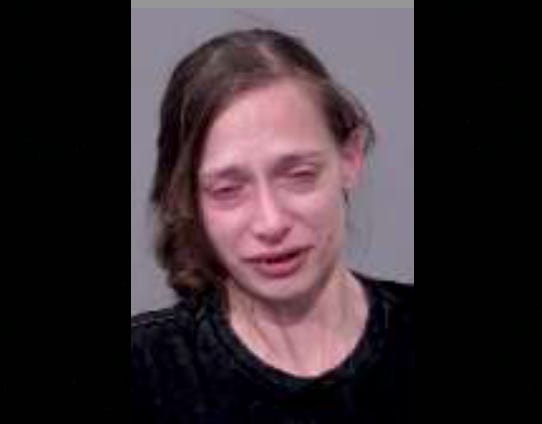 Colette Bancroft booking photo