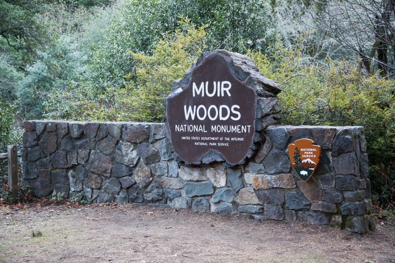 Muir Woods is part of the Golden Gate National Recreation Area. 
