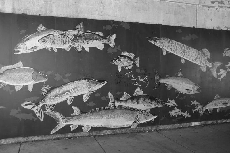 mural