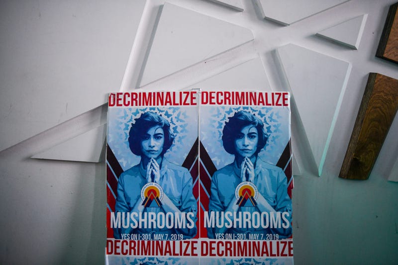 osters in support of Ordinance 301, which would decriminalize psilocybin mushrooms, sit at an election night watch party on May 7, 2019 in Denver, Colorado.