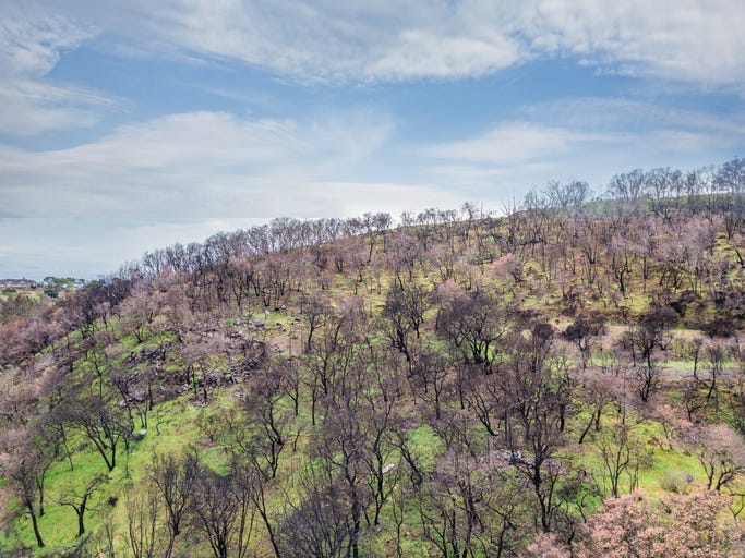 napa fire damage