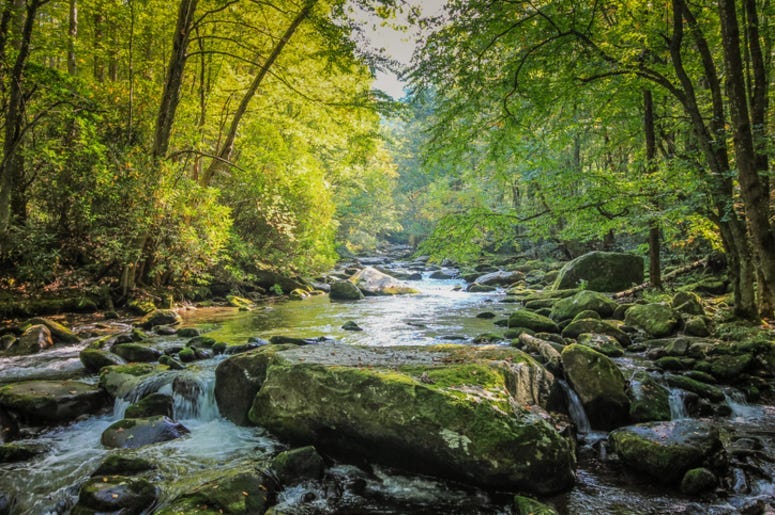 National_Park