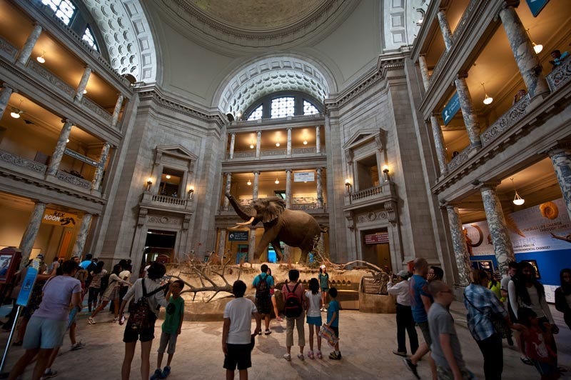 Children at Museum