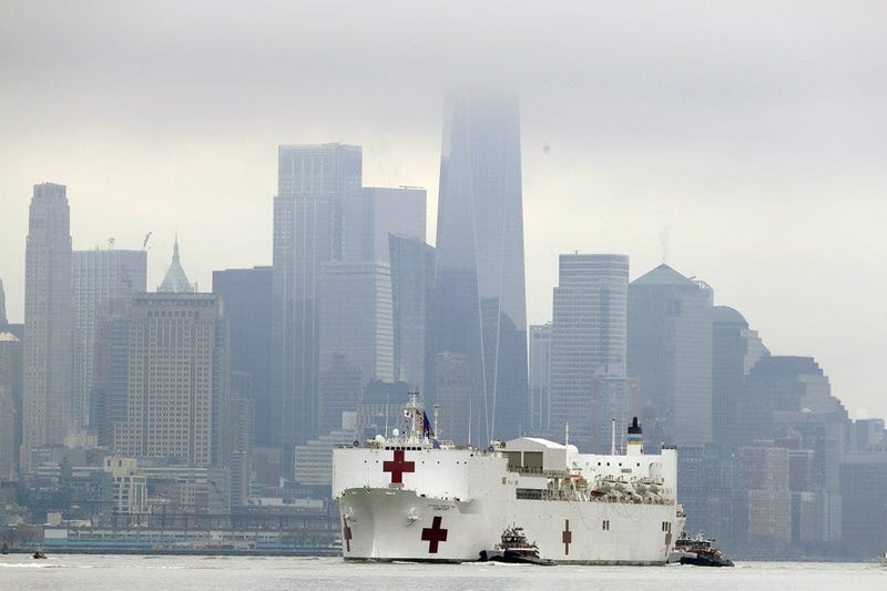 Navy hospital ship