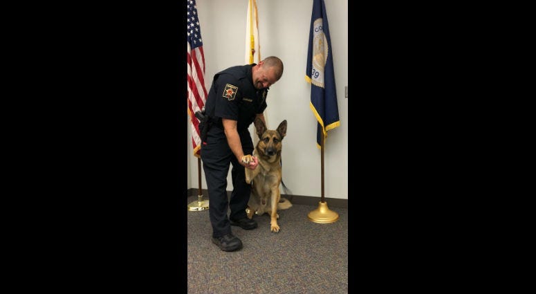 The DuPage County Sheriff’s Office announced Monday they are welcoming a new addition to their office’s Canine Unit. 