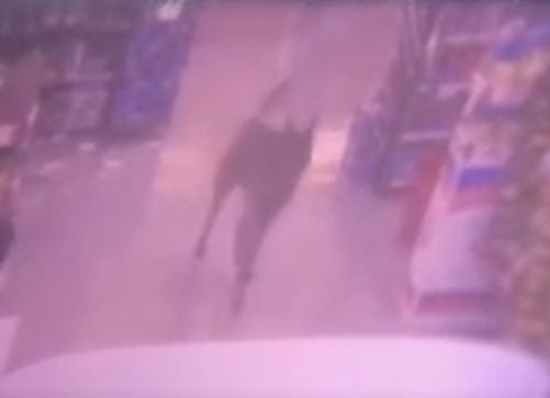 Dog chases customers through Newark store.