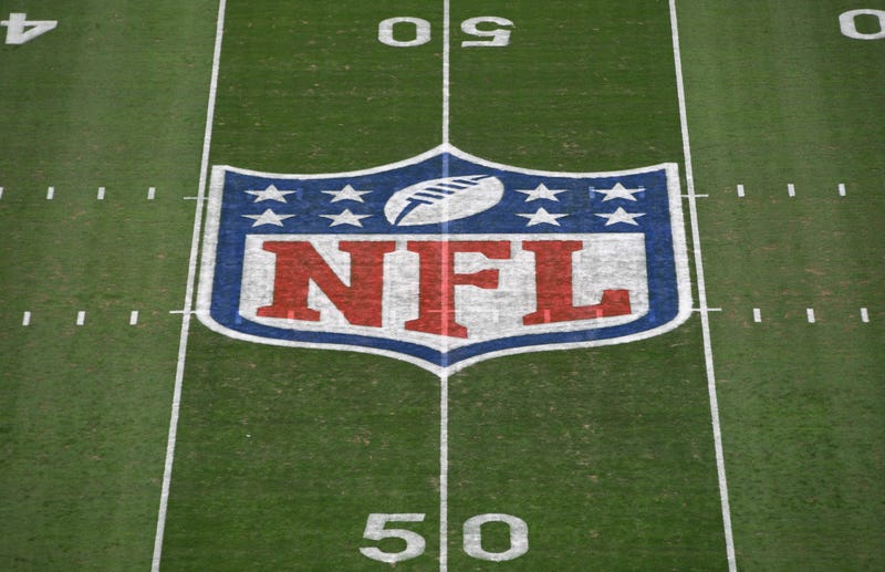NFL logo