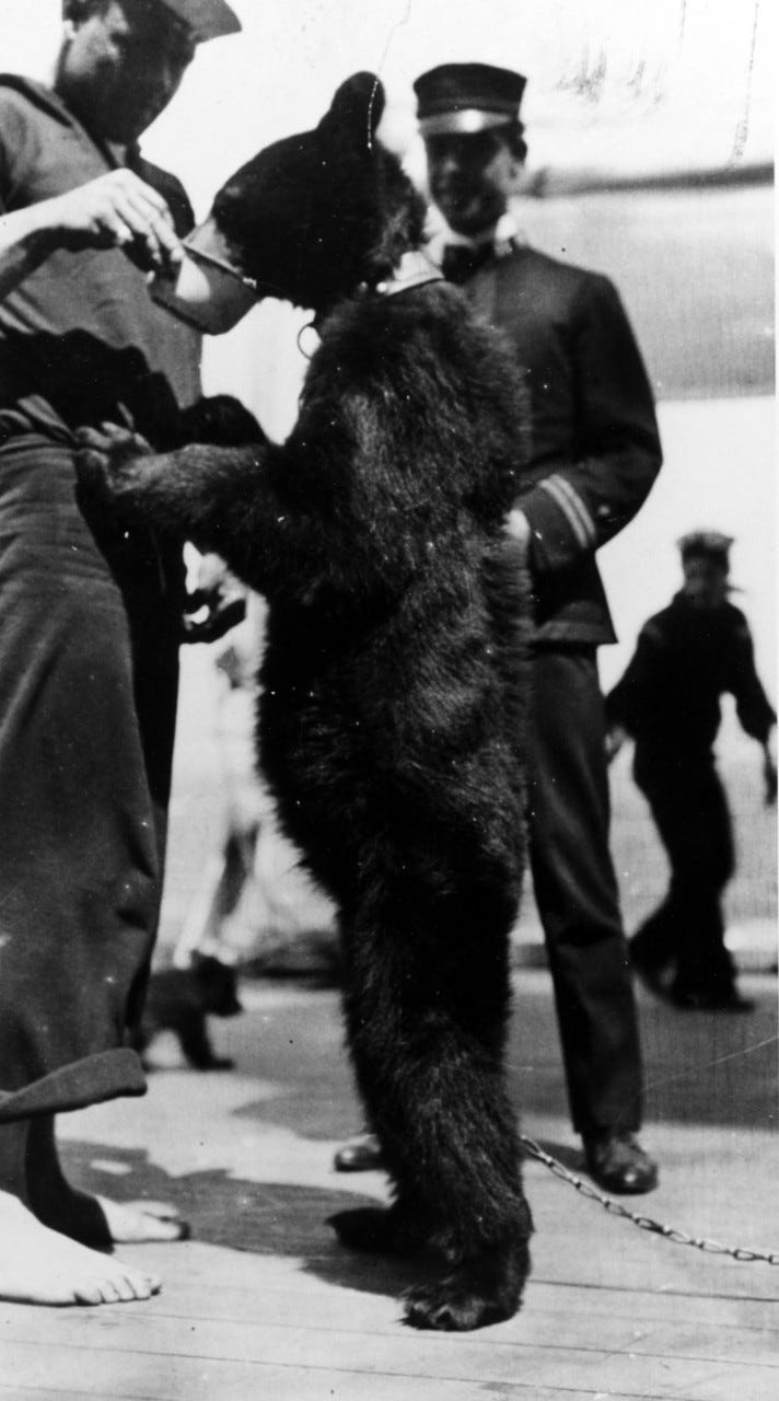NavyBear1