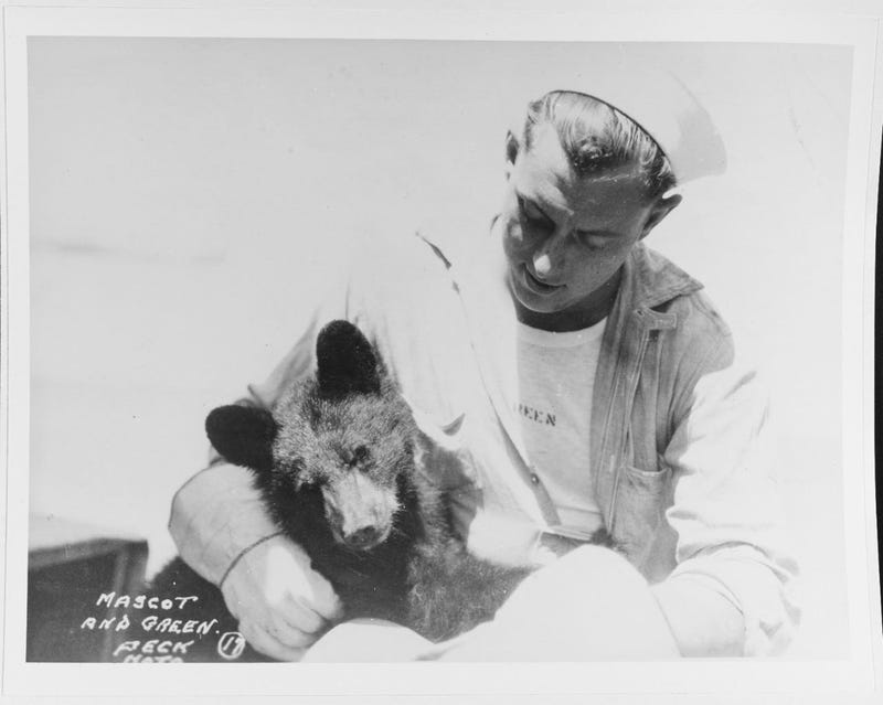 NavyBearwithSailor