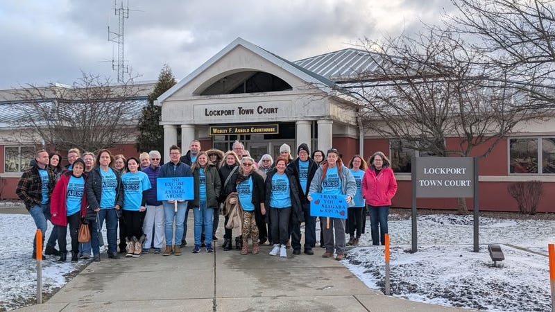 A Town of Lockport woman accused of starving her dog appeared in Lockport Town Court Thursday. The matter is moving to a grand jury next month.