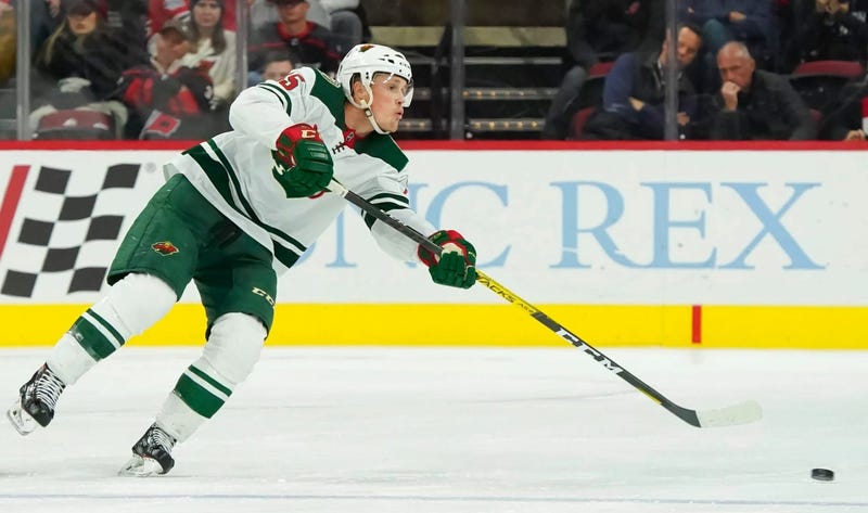 Defenseman Nick Seeler with the Wild in 2019
