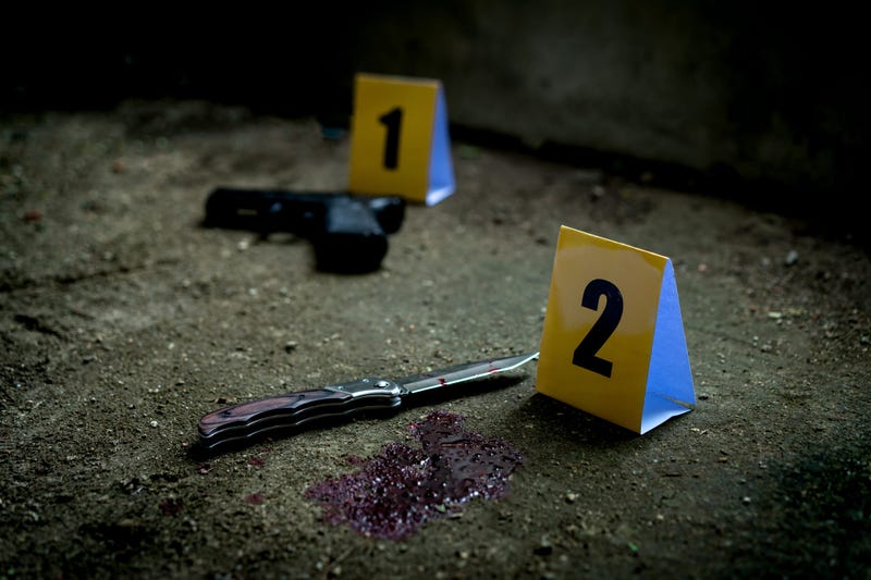 Cedar Lane Stabbing