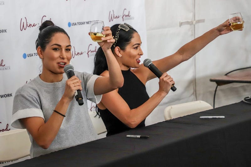 Nikki and Brie Bella