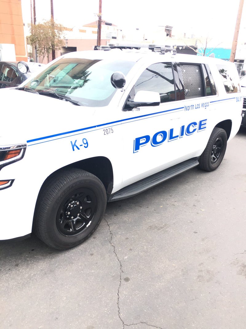 Picture of an NLVPD cruiser