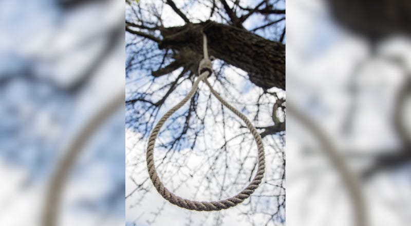 noose