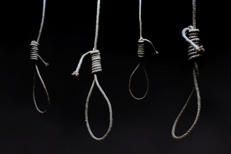 noose
