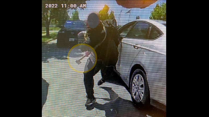 Naperville Police Department body camera footage