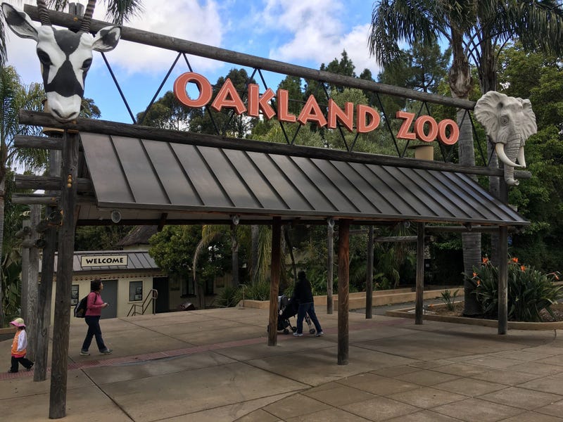 The Oakland Zoo.