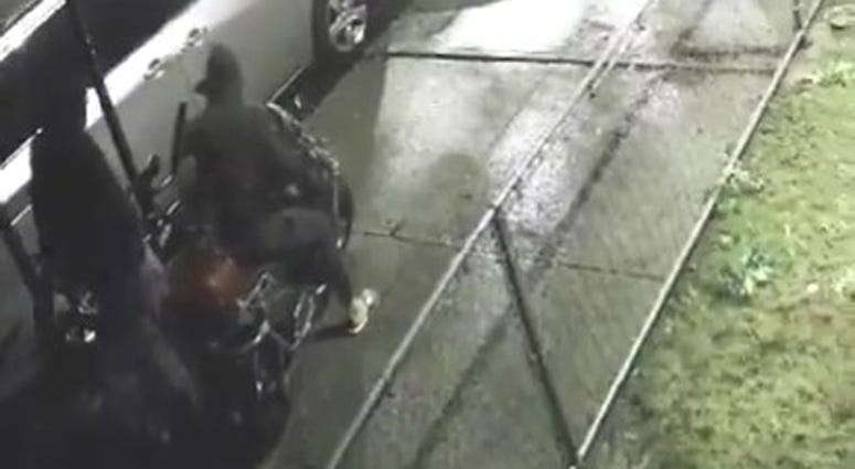 Queens stray bullet shooting suspects