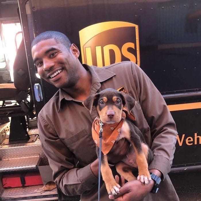 dog, UPS driver, delivery