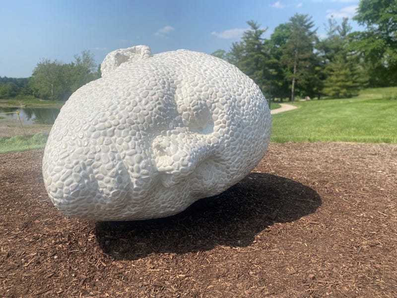 giant head sculpture
