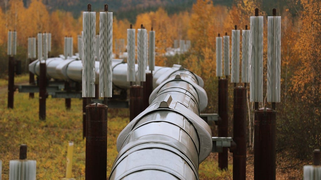 Biden reverses Trump and curbs drilling in Alaska