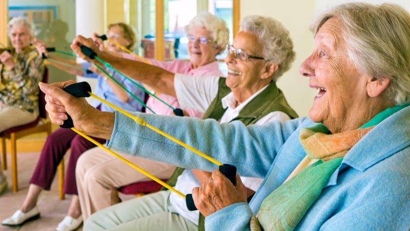 Large group of happy enthusiastic elderly ladies exercising in a gym sitting in chairs doing stretching exercises with rubber bands.