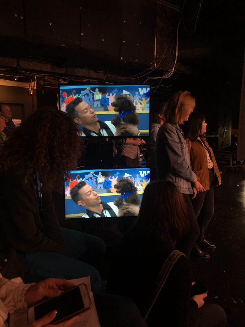 Puppy Bowl XVI
