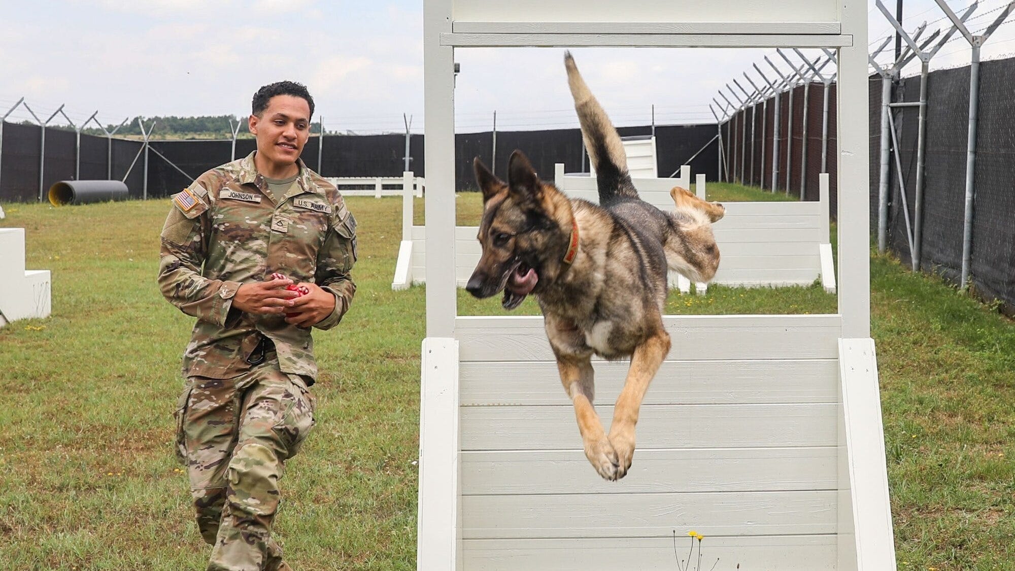 Military Working Dogs provide vital security support in Kosovo