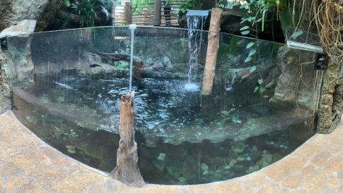 Dallas World Aquarium facing lawsuit after 2-year-old allegedly attacked by giant otter