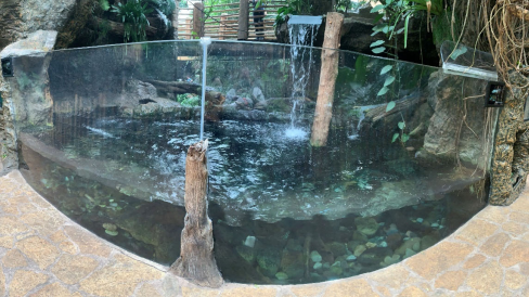 Panoramic photograph of the giant otter exhibit at the Dallas World Aquarium taken on Oct. 14, 2021. The panoramic nature of the photograph creates the appearance of a sharper curvature.