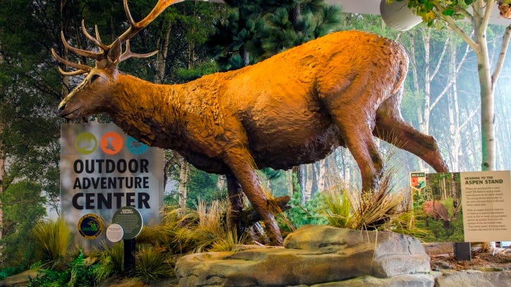 DNR Outdoor Adventure Center in Detroit to reopen July 16