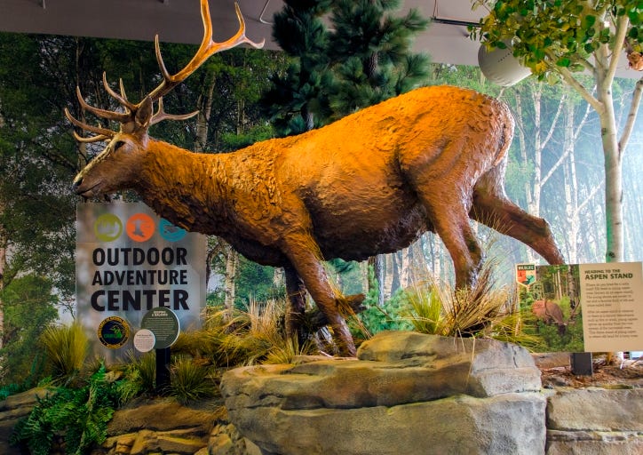 DNR Outdoor Adventure Center in Detroit