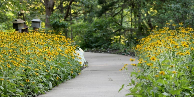 Walkway at the Overland Park Arboretum, surrounded by beds of flowers