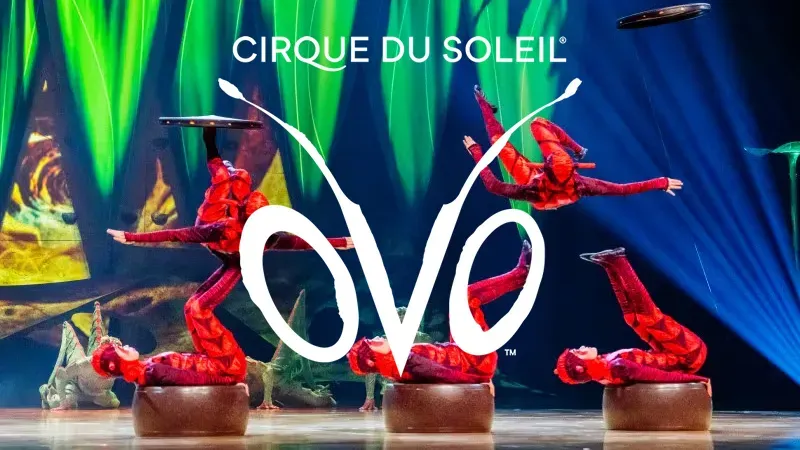 Cirque du Soleil OVO