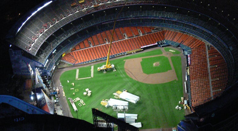 Inside Shea