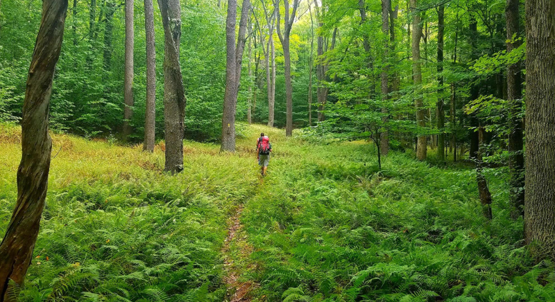 PA State Park trail