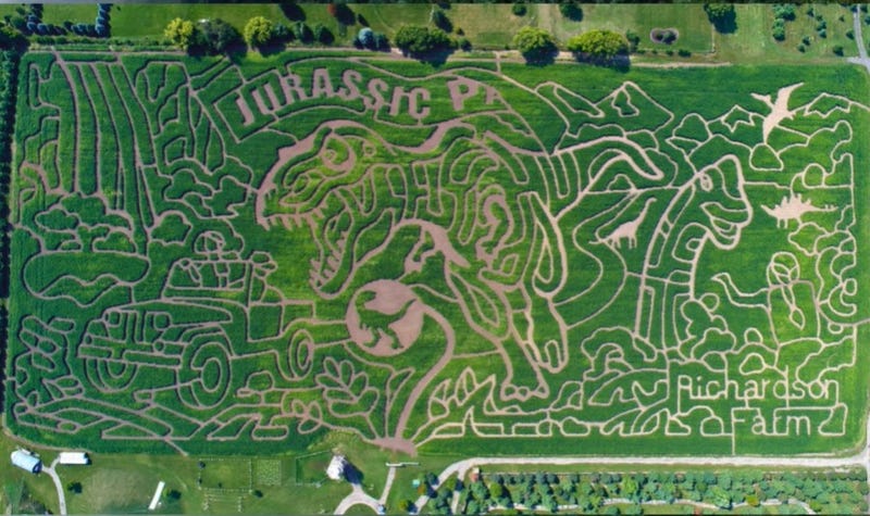 maze