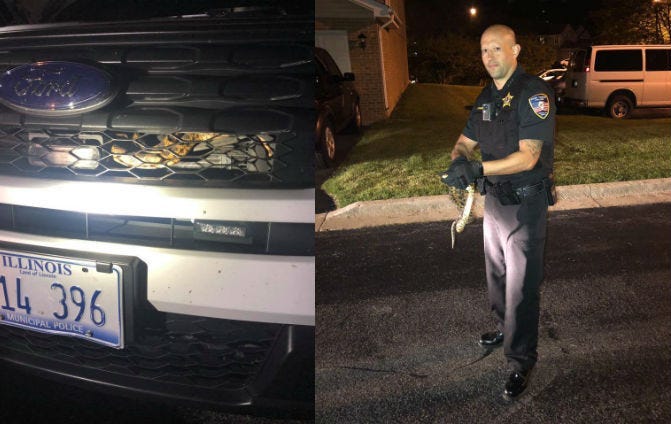 Two Park Forest Police Officers had an encounter with a slippery stowaway in their squad car