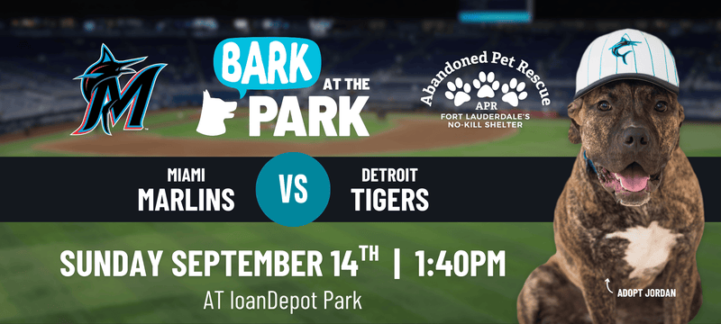 Bark At The Park Flyer