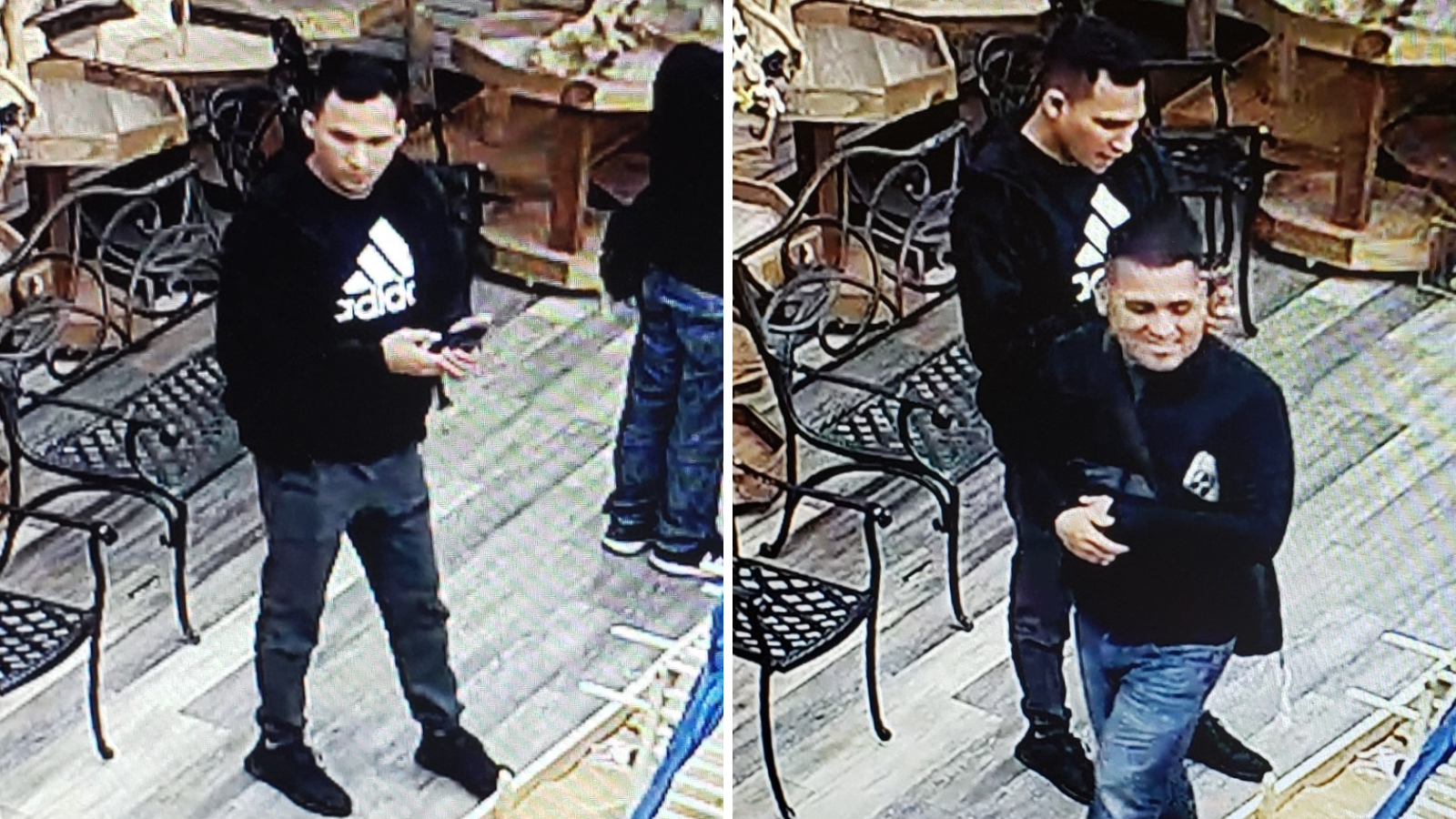 Police: 2 men wanted for stealing baby parrot from South Jersey pet store