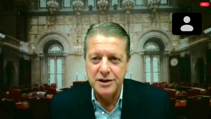 State Senator Patrick Gallivan. May 20, 2020 (WBEN Photo/ZOOM)