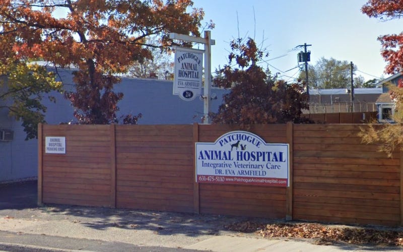 Patchogue Animal Hospital 
