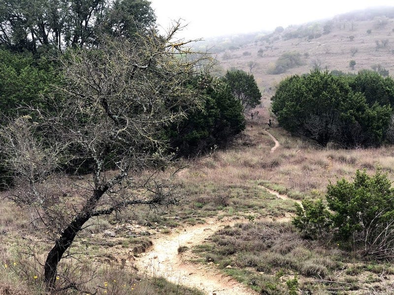 path