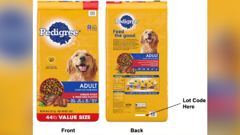 Dog and food