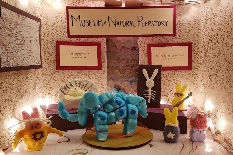 The Natural Peepstory Museum Diorama