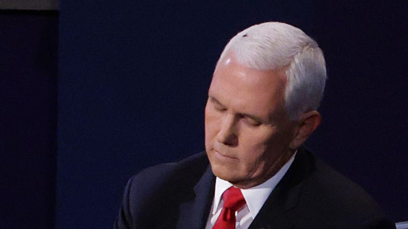 A fly lands on head of U.S. Vice President Mike Pence during in the vice presidential debate against Democratic vice presidential nominee Sen. Kamala Harris (D-CA) at the University of Utah on October 7, 2020 in Salt Lake City, Utah.