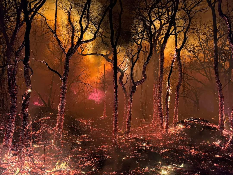 Pennsylvania wildfire