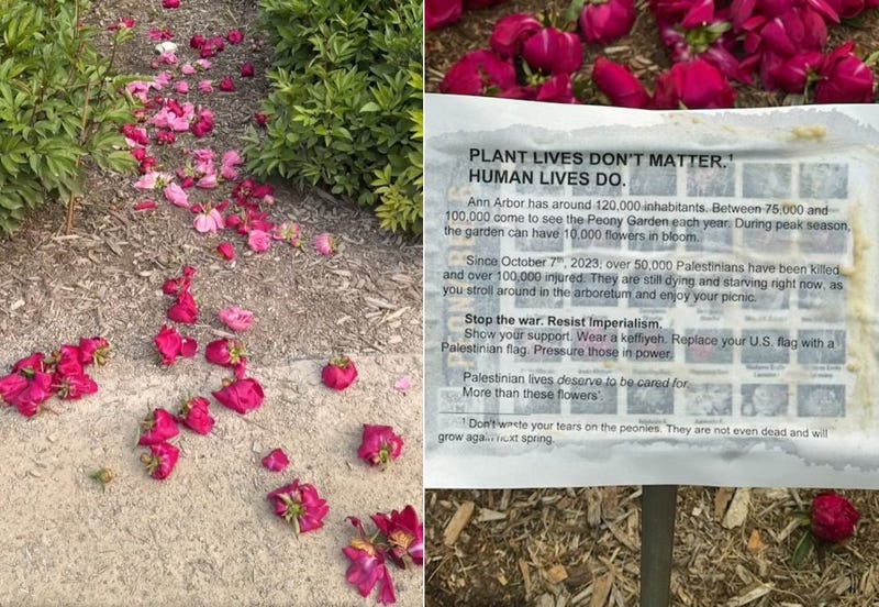 flowers damaged